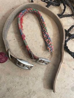 leashes collars and strap
