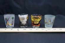 Hawaii and Bahamas Shotglasses