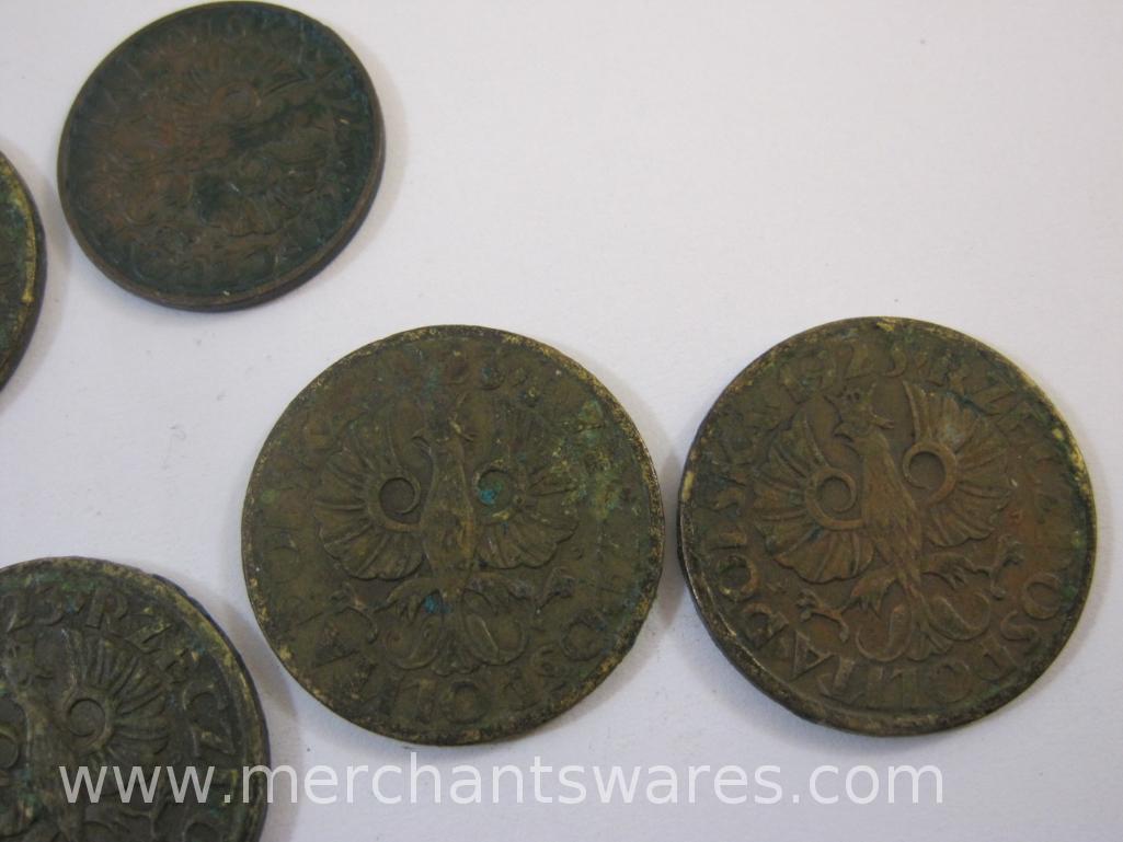 Fourteen 1923 Polish Groszy Coins