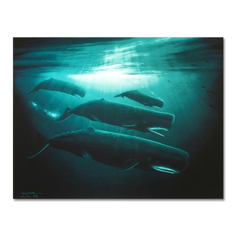 Wyland "The Great Sperm Whale" Limited Edition Cibachrome On Board