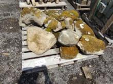 (15) Assorted Size Fossiled Mossed Decorative Landscape Stones, Sold by the