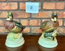 Wood Duck Family Figurines by Andrea