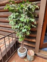 Simulated Ficus Tree in Asian Style Planter