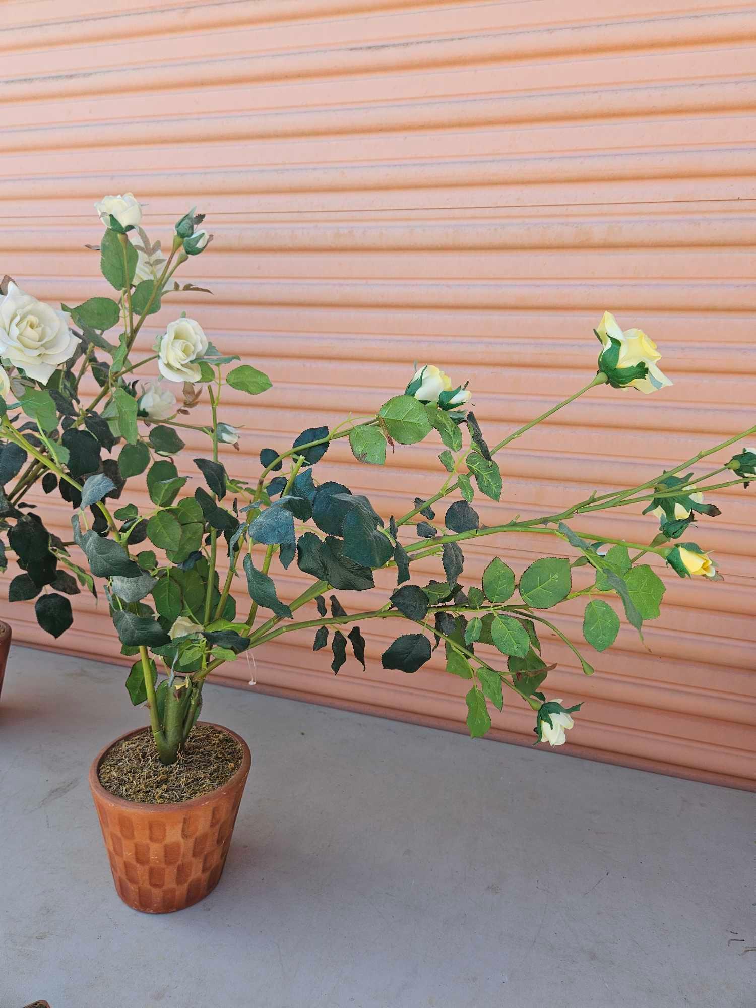 Pair of Artificial Rose Plants, ceramic pots