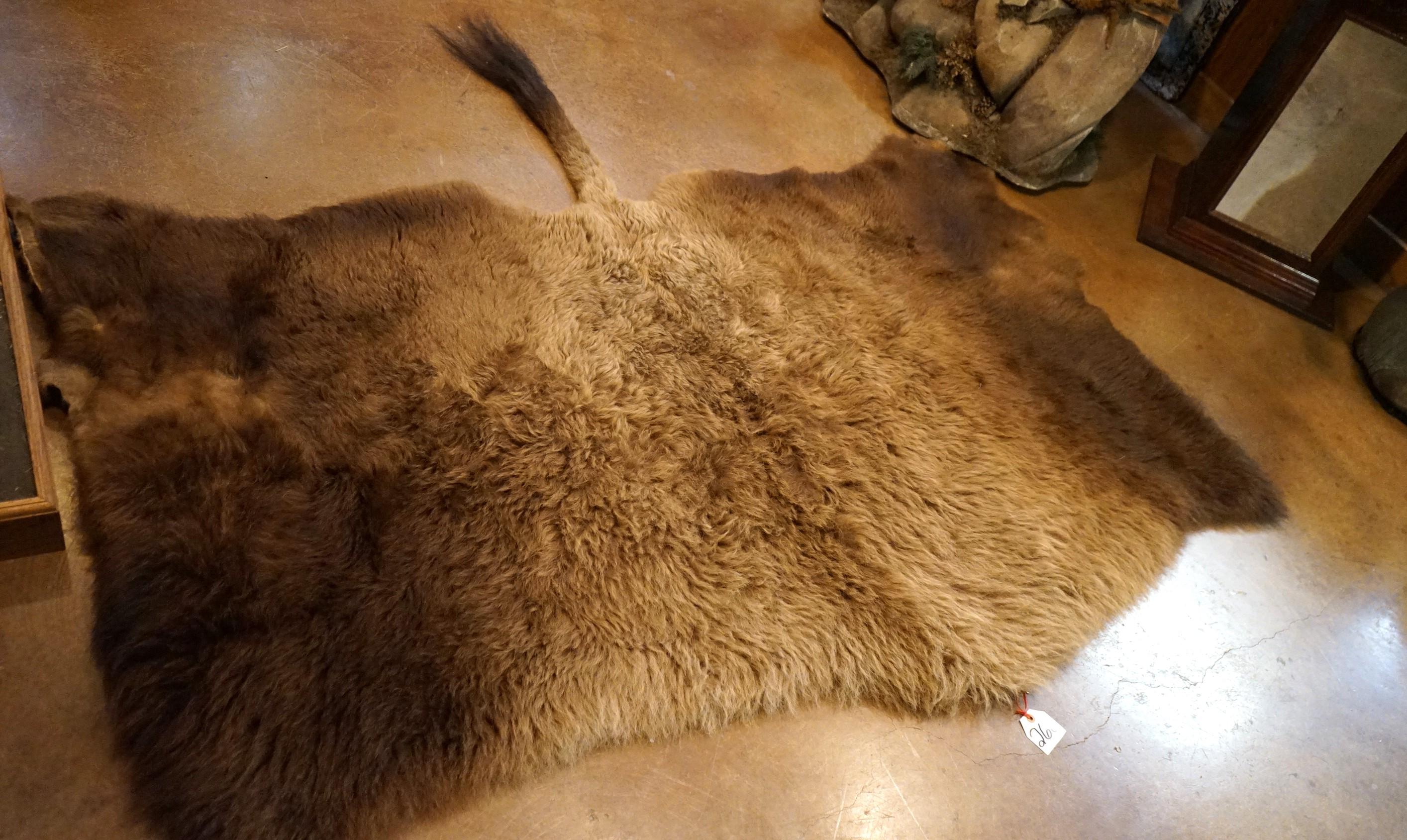 American Bison Half Tanned Backskin Taxidermy Mount