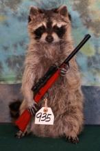 Brand New Raccoon with Gun Novelty Taxidermy Mount