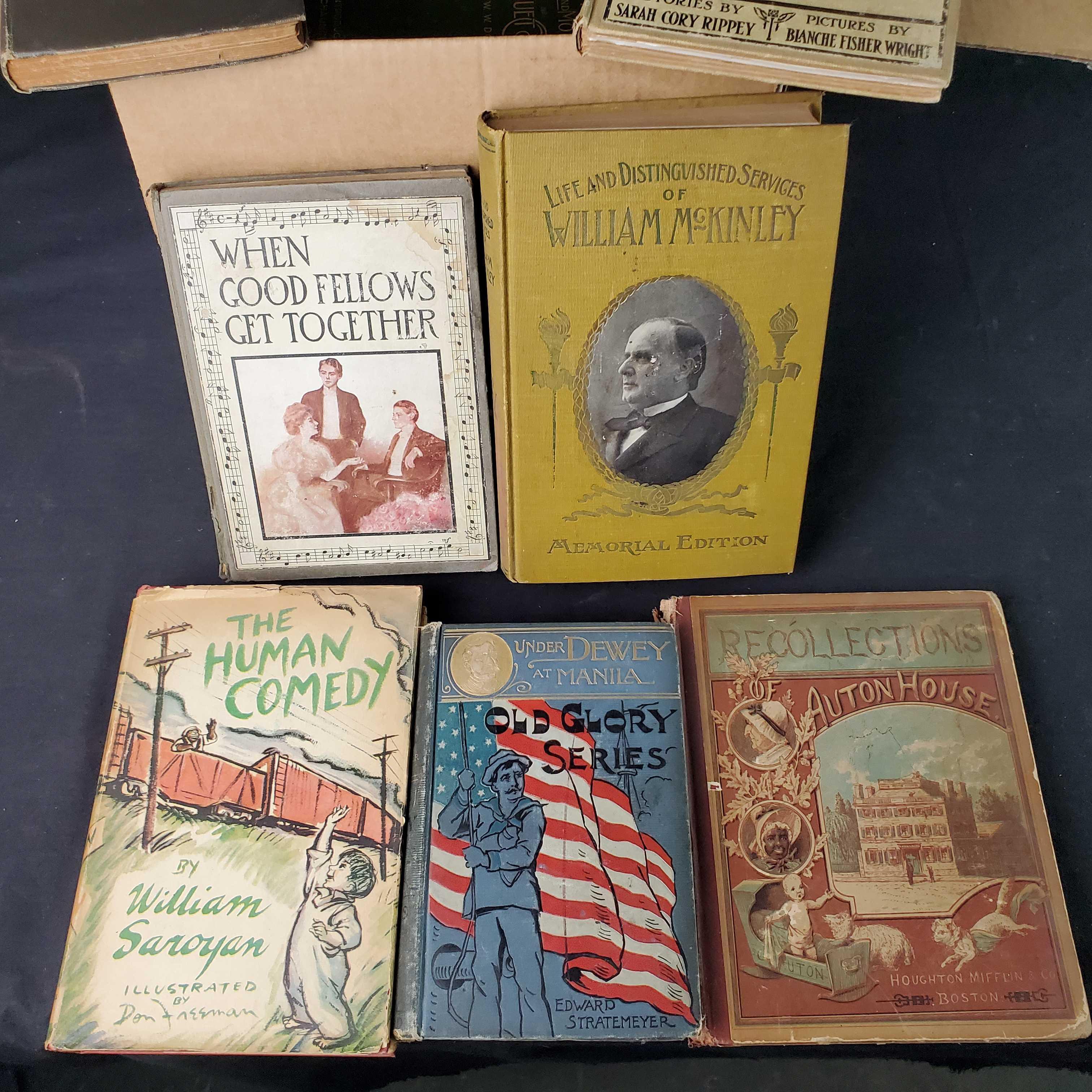 Small box of approx.15 vintage/antique books