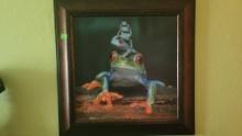 Red Tree Frog Photos