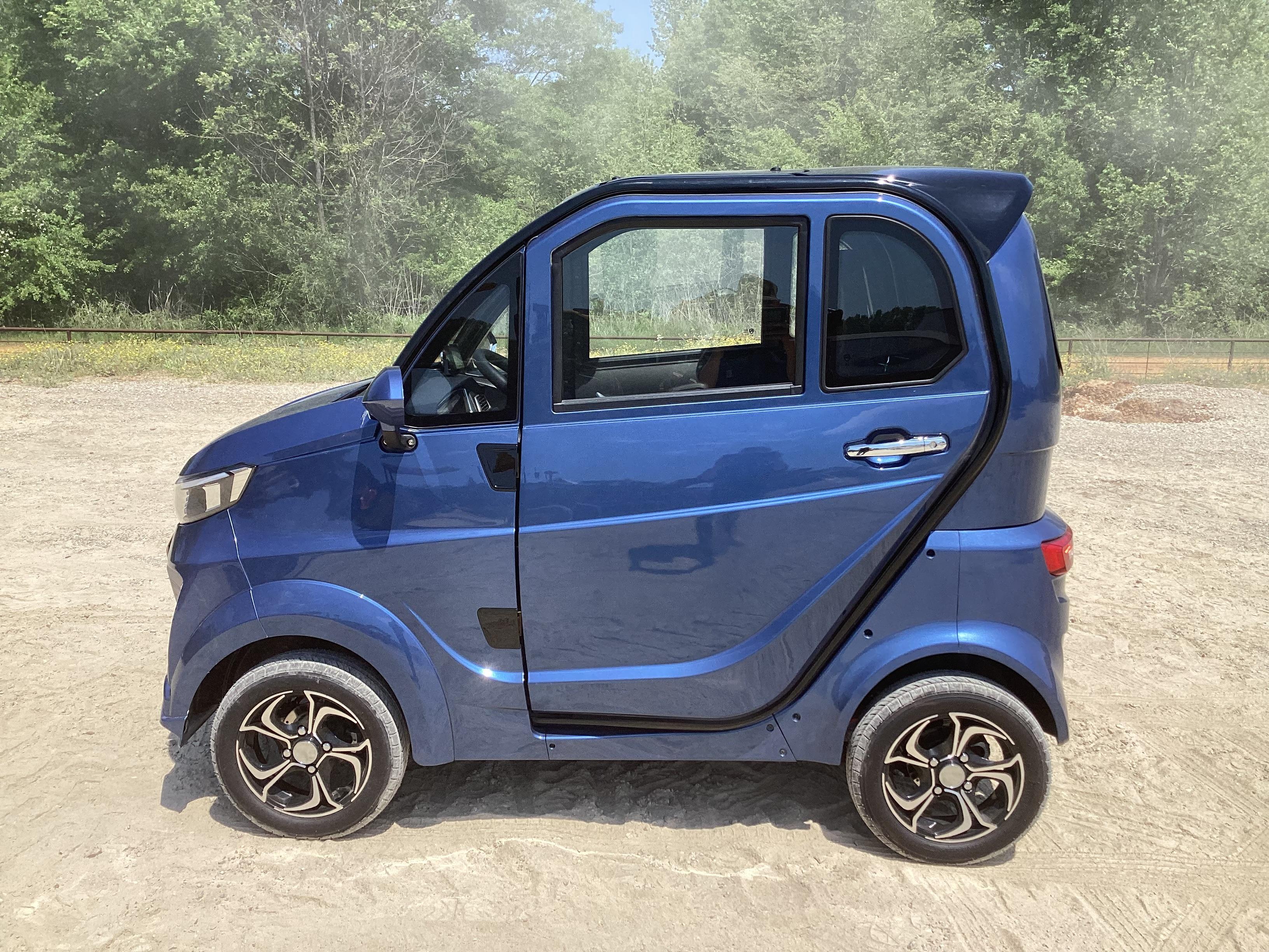 2024 Electric Mini Car/ Golf Cart