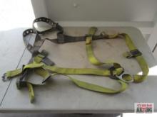 DBI/Sala Safety Harness *ALM