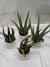 Threshold Faux Potted Aloe Plants.