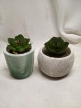 Pair of Table Top Artificial Succulents
