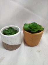 Pair of Table Top Artificial Succulents