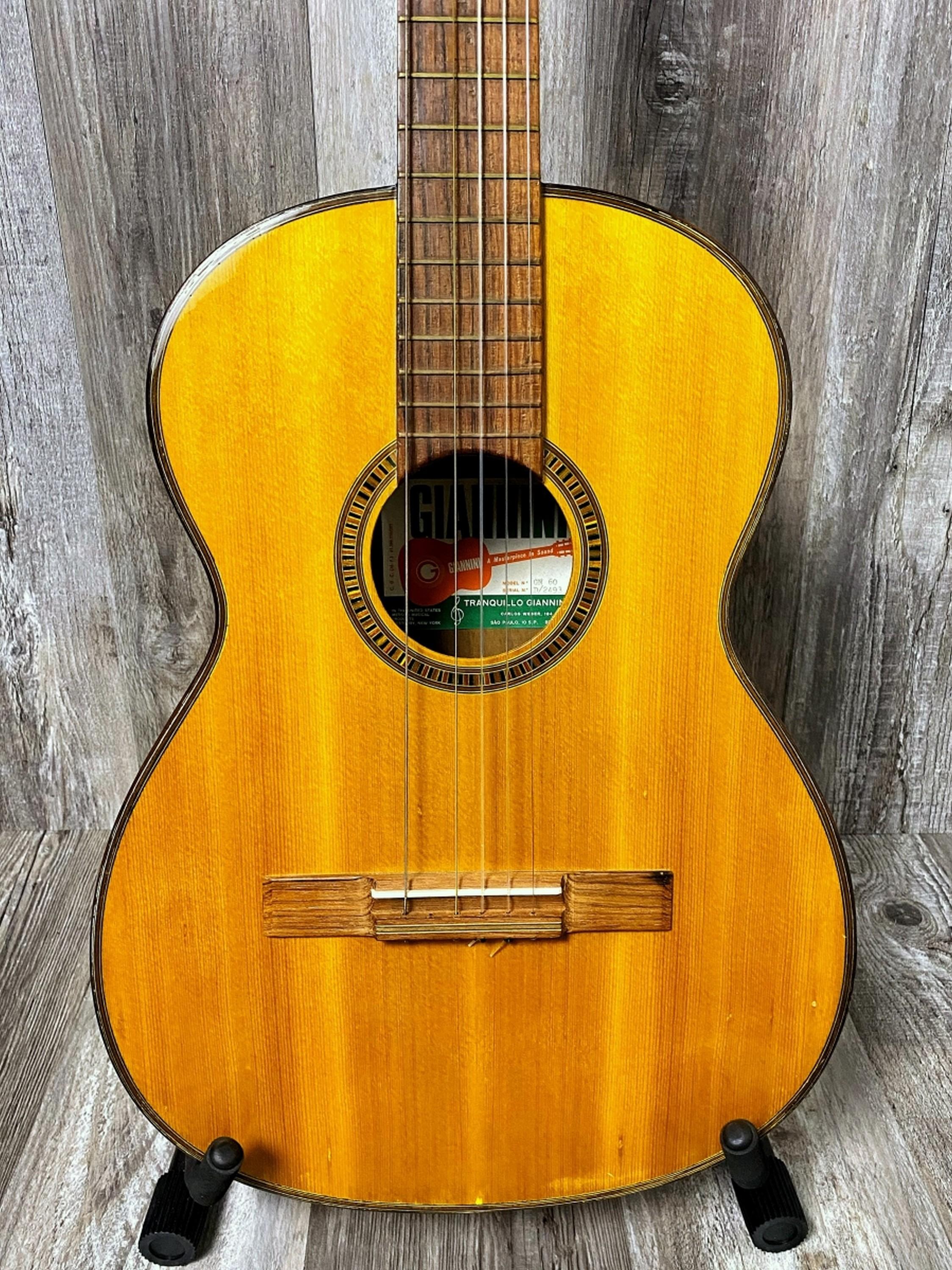 1970's Giannini ACC Guitar Soft Case