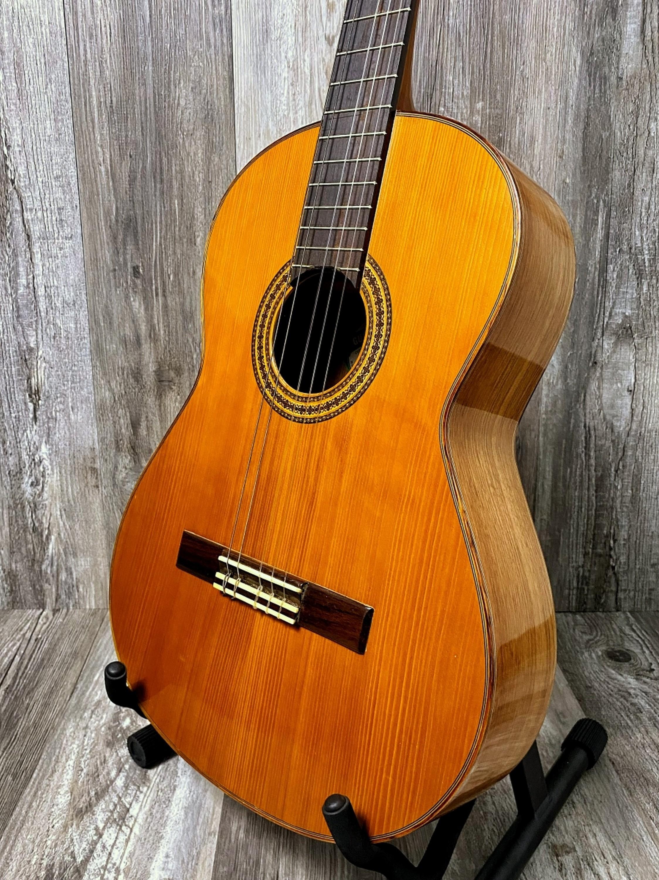2012 Paracho Classical ACC Guitar Hard Case