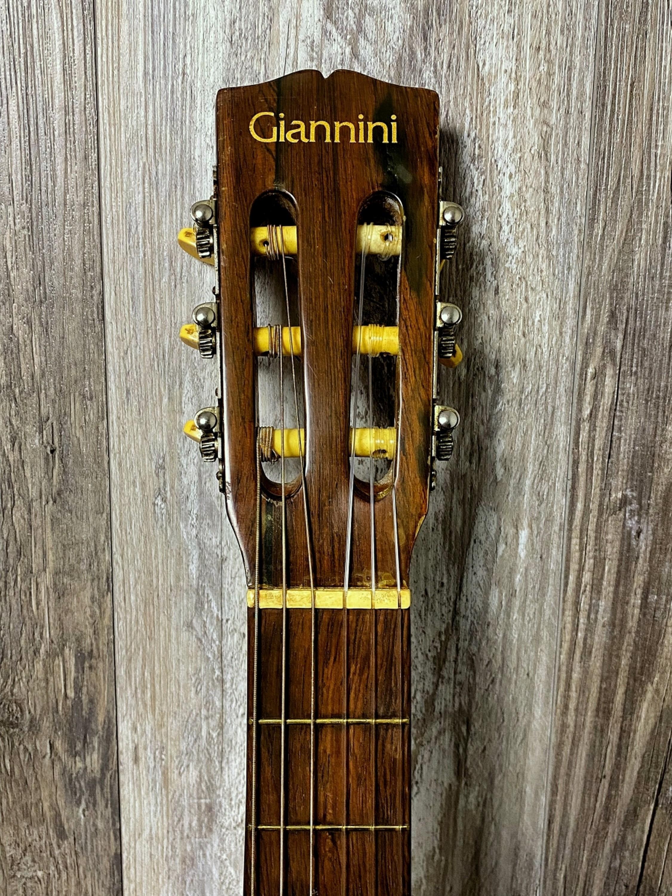 Giannini ACC Guitar Soft Case