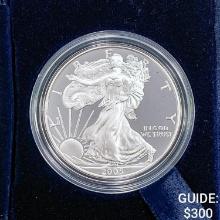 2005-W Silver Eagle