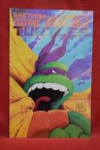 TEENAGE MUTANT NINJA TURTLES #22 | TIME TRAVELER RETURNS! | VOLUME 1 - 1989