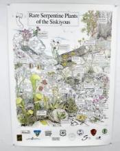 US Forest Service Poster