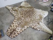 XXL Giraffe Hide Rug w/Carpet Backing & Leather Piping TAXIDERMY