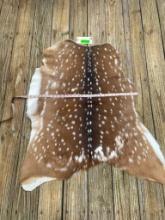 Beautiful NEW tanned Axis deer hide , 40 inches long X 30 inches wide excellent taxidermy or log cab