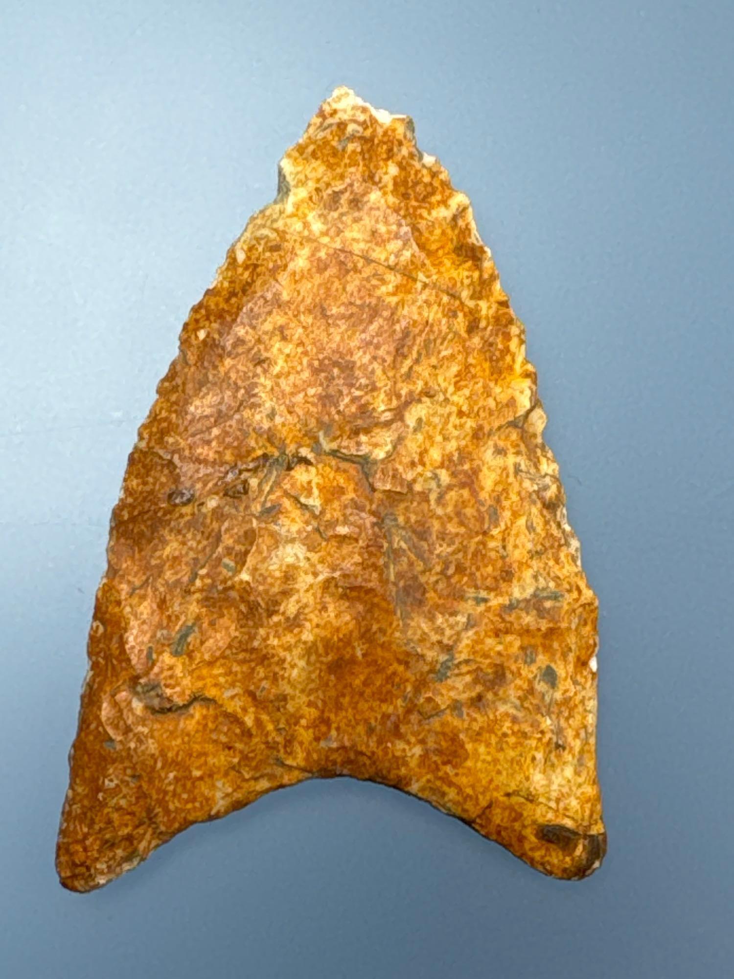 2 1/8" River Stained Paleo Point, Found in Florida, Ex: Hanning Collection of Maine