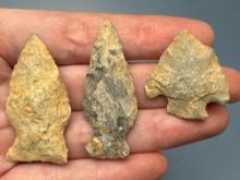 3 Fine Rhyolite Points, Found in Jim Thorpe Area in Pennsylvania, Longest is 1 3/16"