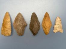 5 Various Points, Central States, Longest is 2 1/8", Ex: Kauffman Collection