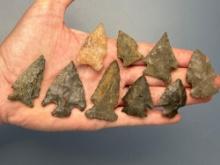 9 Fine Chert Points, Well-Made Pieces, Longest is 2 1/16", Found in Various Locations in CT