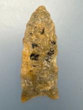 NICE 2" Quartzite Paleo Point, Found in Virginia, Ex: Ed Bottoms Collection