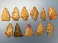 11 Fine Jasper Points, Longest is 1 9/16", Found on Taylors Island, MD, Ex: Vandergrift Collection