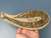 Impressive 8" Fish Fossil in Large Pebble Stone Half