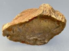 6" Slabbed and Polished Dinosaur Coprolite, Found in Moab, Utah