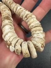 IMPRESSIVE 14" Strand of Shell Disc Beads, Found near Reading, PA, Woodland, Ex: Vandergrift