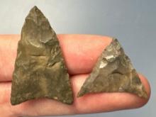 FINE Triangles, Normanskill Chert (x1 Green!), Longest is 1 3/8", Found in Connecticut