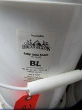 2- 5 GALLON BUCKETS OF BABY LIMA BEANS