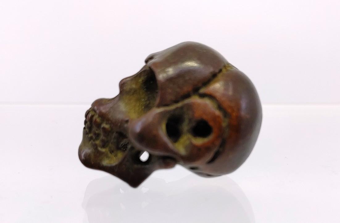 Antique European Bronze Skull