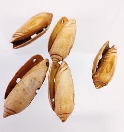 Pre-Columbian Shell Beads Carved