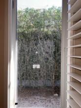 Impact Glass Window with Screen, 24" X 60"