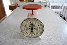 Polly Prim kitchen scale