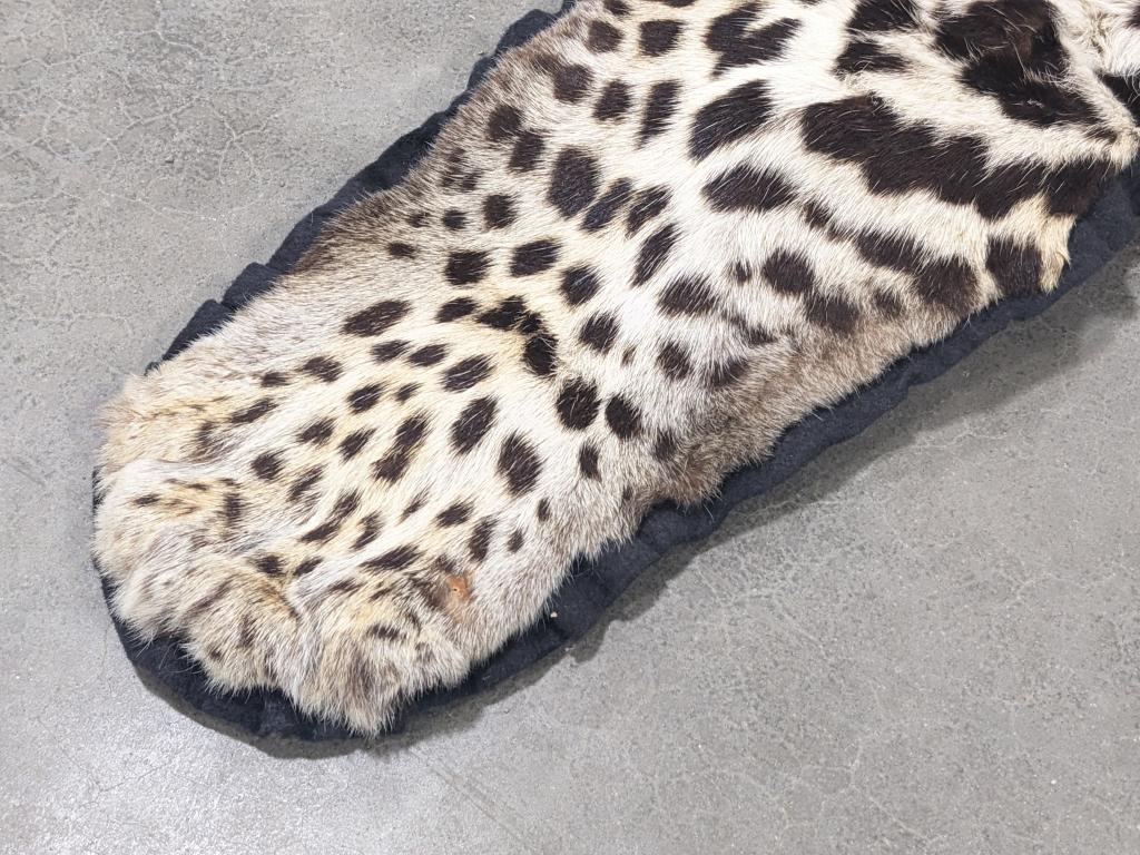 Large Full Body African Leopard Pelt Rug on Mat