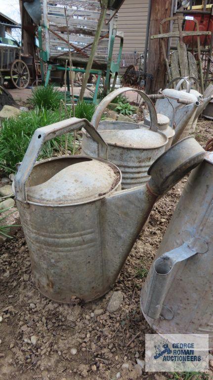 Three large galvanized watering cans