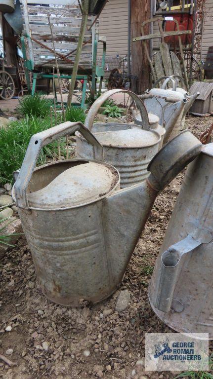 Three large galvanized watering cans