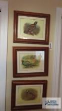 Set of three wild bird prints