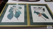 Two Magnolia prints. No shipping!