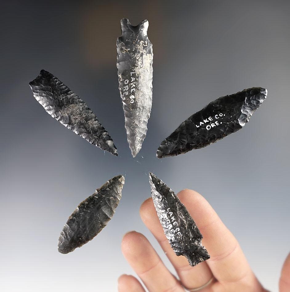 Set of 5 well flaked Obsidian points found in Lake Co., Oregon. The largest is 2 3/4".