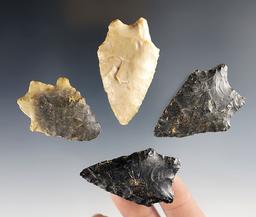 Set of 4 nice Transitional Paleo points found in Ohio. The largest is 2 1/8".