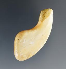 Rare! 1 3/4" Drilled Shell Pendant found at the Wallace Site near Elizabethtown in 1967.