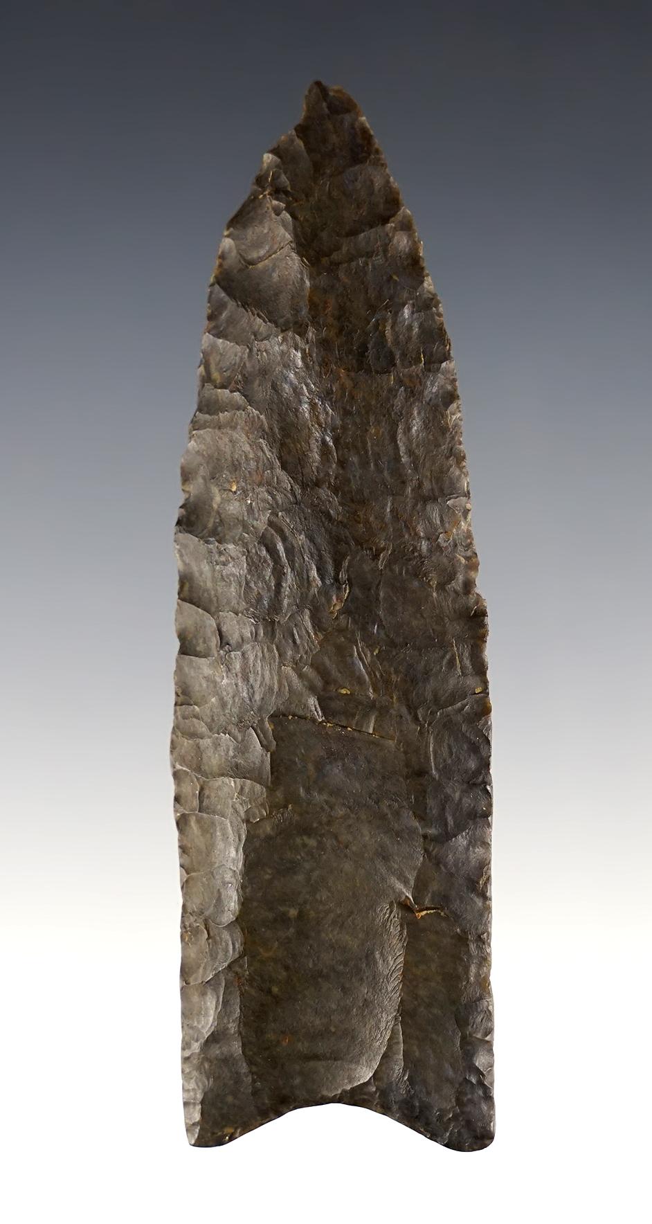 Classic 3 5/8" Fluted Paleo Clovis found in Collins, Whitley Co., Indiana. Heavy ancient grinding.