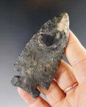 3 1/4" Ohio Archaic point found on the Kline farm in 1937. Made from beautiful Coshocton Flint.